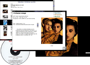 Editer le catalogue raisonné sur CD-ROM...